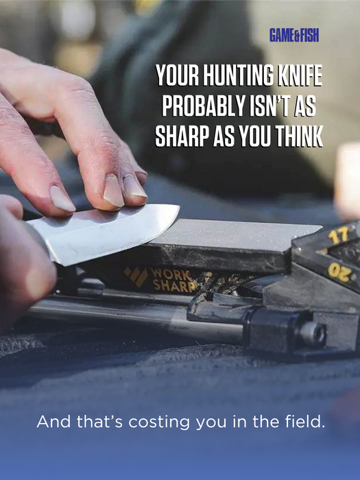 OUTDChannel's tweet photo. Every hunter has their preferred way to sharpen a knife. What method gives you the best edge, and why?

Here's our take via @GameAndFishMag: https://t.co/Qcet8tpAdO https://t.co/qNnt635eef