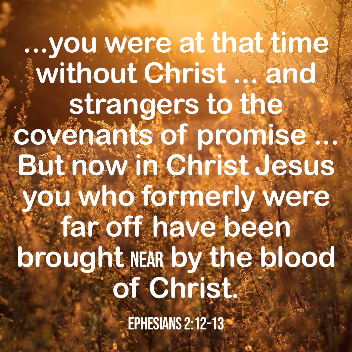 cleansocks's tweet photo. Once upon a time... #Ephesians #Bible https://t.co/2heeNeV7JP