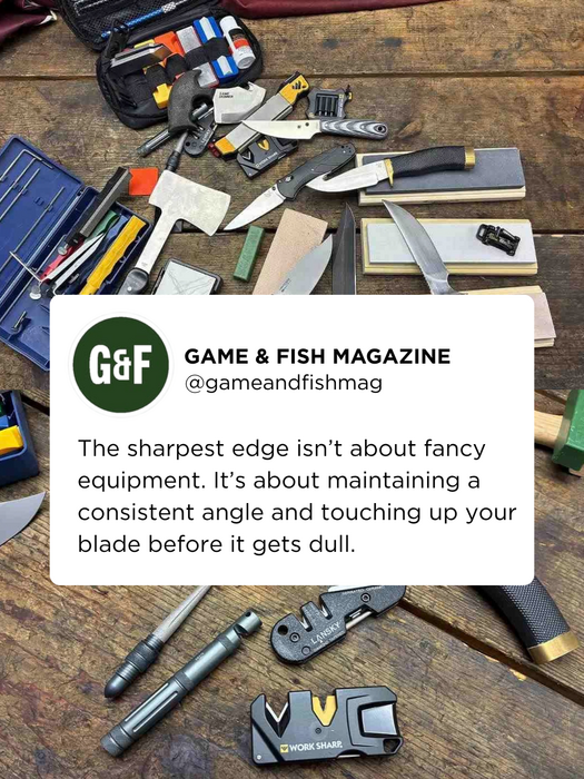 OUTDChannel's tweet photo. Every hunter has their preferred way to sharpen a knife. What method gives you the best edge, and why?

Here's our take via @GameAndFishMag: https://t.co/Qcet8tpAdO https://t.co/qNnt635eef