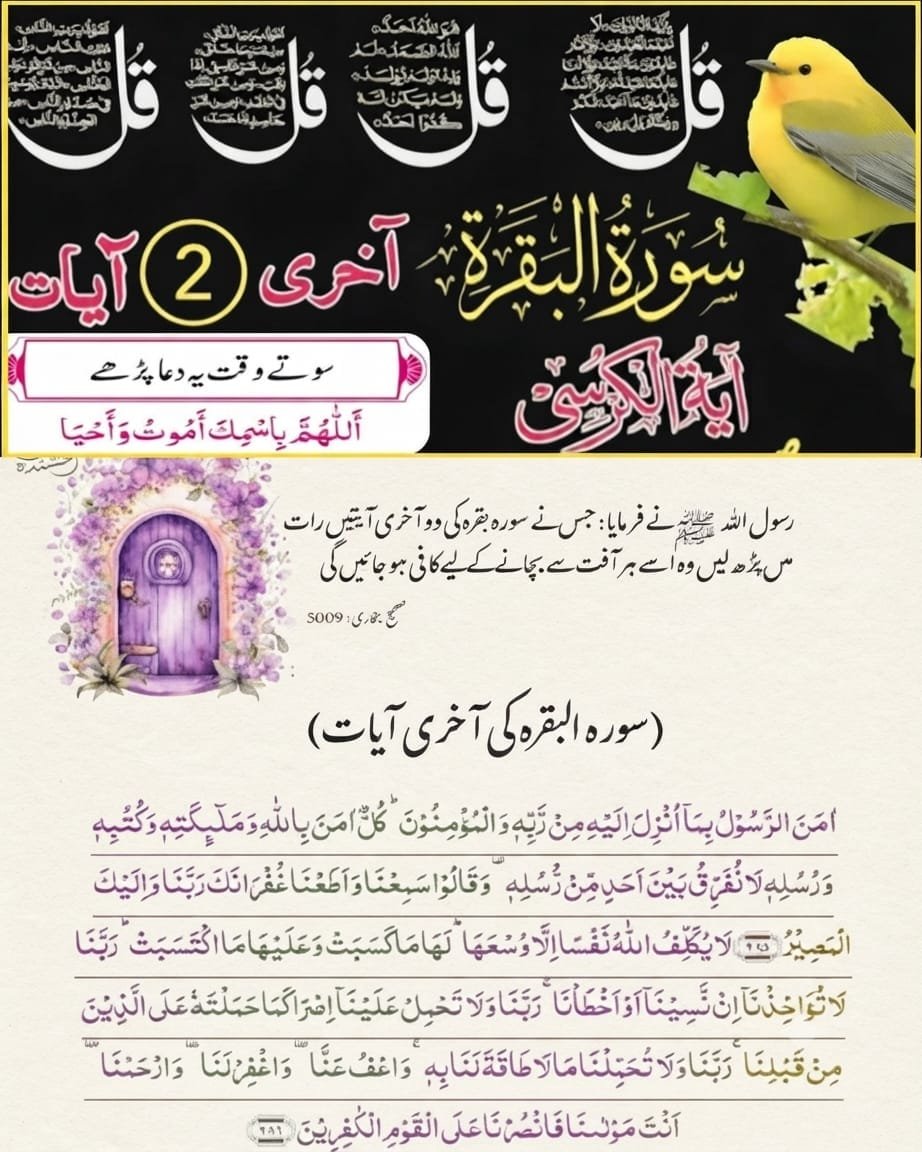 BalochShah46365's tweet photo. سونے کی دعا ، چاروں قل ،آیت الکرسی اور سورہ البقرہ کی آخری 2 آیتہ پڑھ کر سوئیے گا۔شب بخیر سب کو دل سے اللّٰہ پاک کے رضا کے لئے معاف کریں جیساکہ ہم لوگ اللّٰہ پاک سے معافی کے طلبگار ہیں۔ دعاؤں کا طلبگار https://t.co/ZTayxNmkYj