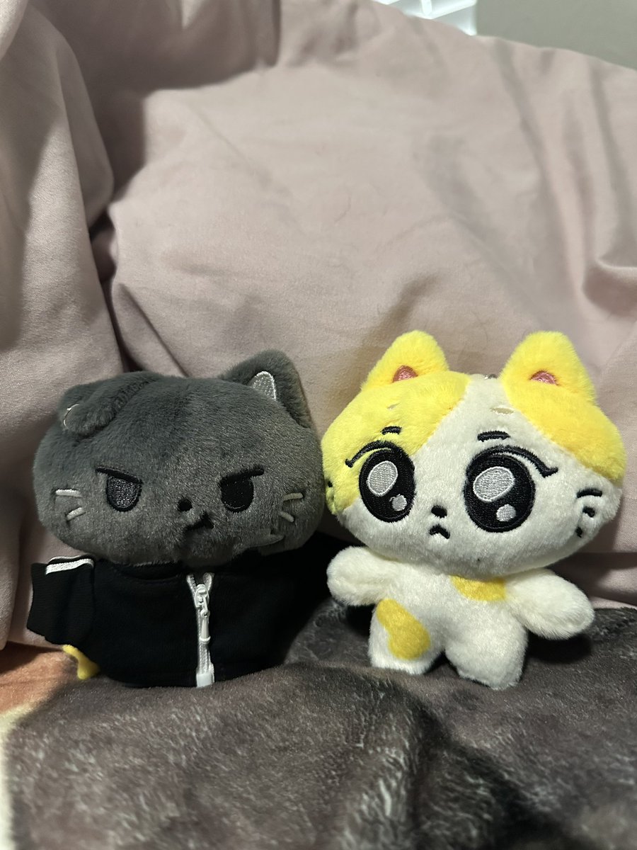 Midnight_Engene's tweet photo. Wonchu has arrived! https://t.co/kP5HK2XErl