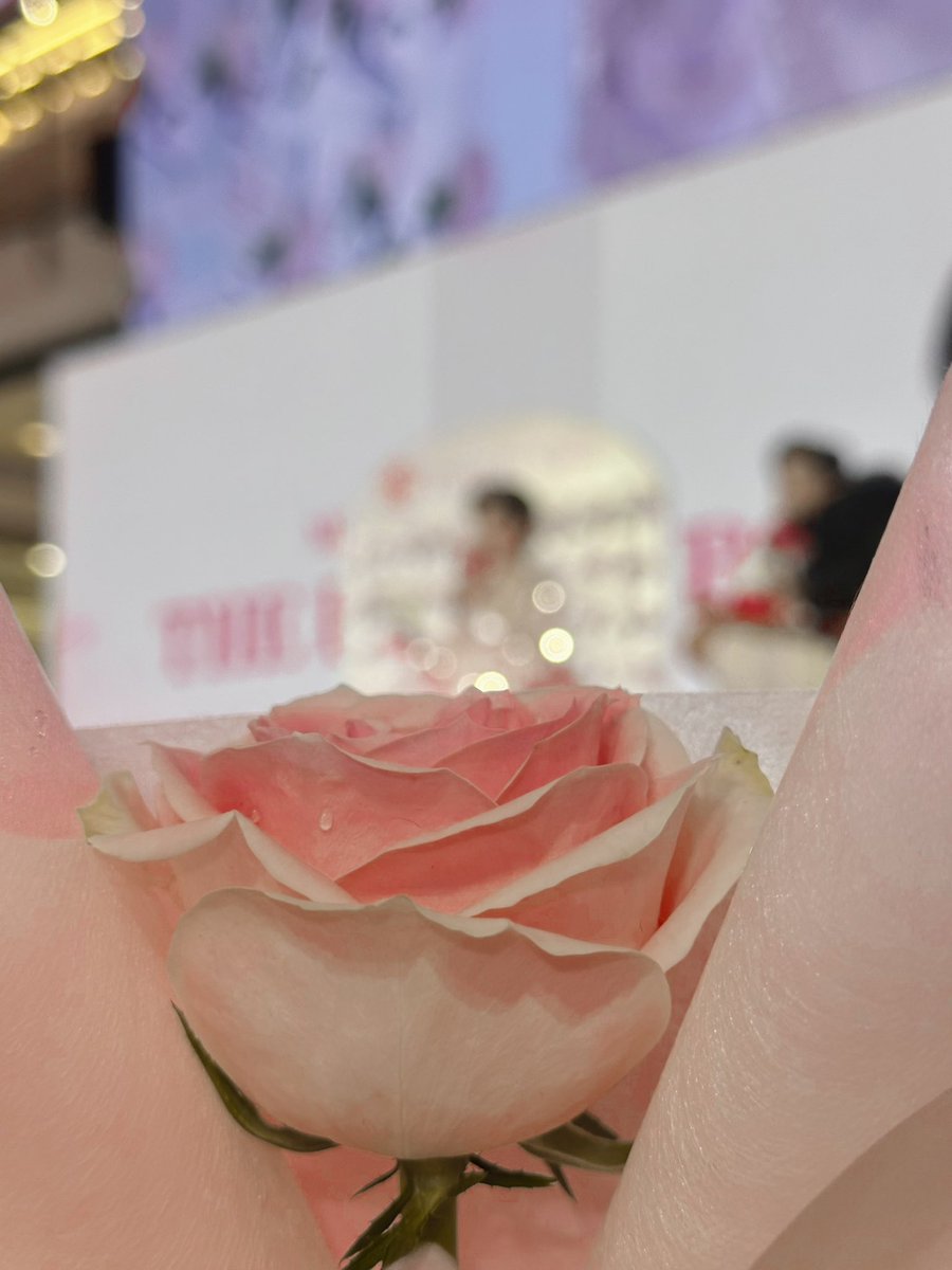 _muffinp's tweet photo. @ppkritt เพราะเป็นคนที่ไม่ค่อยมีโชคแล้วก็ไม่รู้จะได้มีโอกาสแบบนี้อีกมั้ยวันนี้เลยเป็นวันนึงที่มีความสุขมากๆ สุดๆสำหรับเราเลย จิงๆมีความสุขรอตั้งแต่วันที่รู้ว่าจะได้เจอน้องพีพีแล้วเน้อ ขอบคุณหนูที่ทำให้วันนี้เป็นอีกวันที่พิเศษมากๆในชีวิตเรา มอบความสุขให้ทุกคนเยอะๆแล้วเราอวยพรให้ความสุขเหล่านั้นส่งกลับไปหาน้องพีพีทั้งหมดเลยนะคับ สุขภาพแข็งแรง ไม่เจ็บไม่ป่วยน๊า รักเด่กเร้กมากๆเลยนะคับ🤲🏻🥹💘