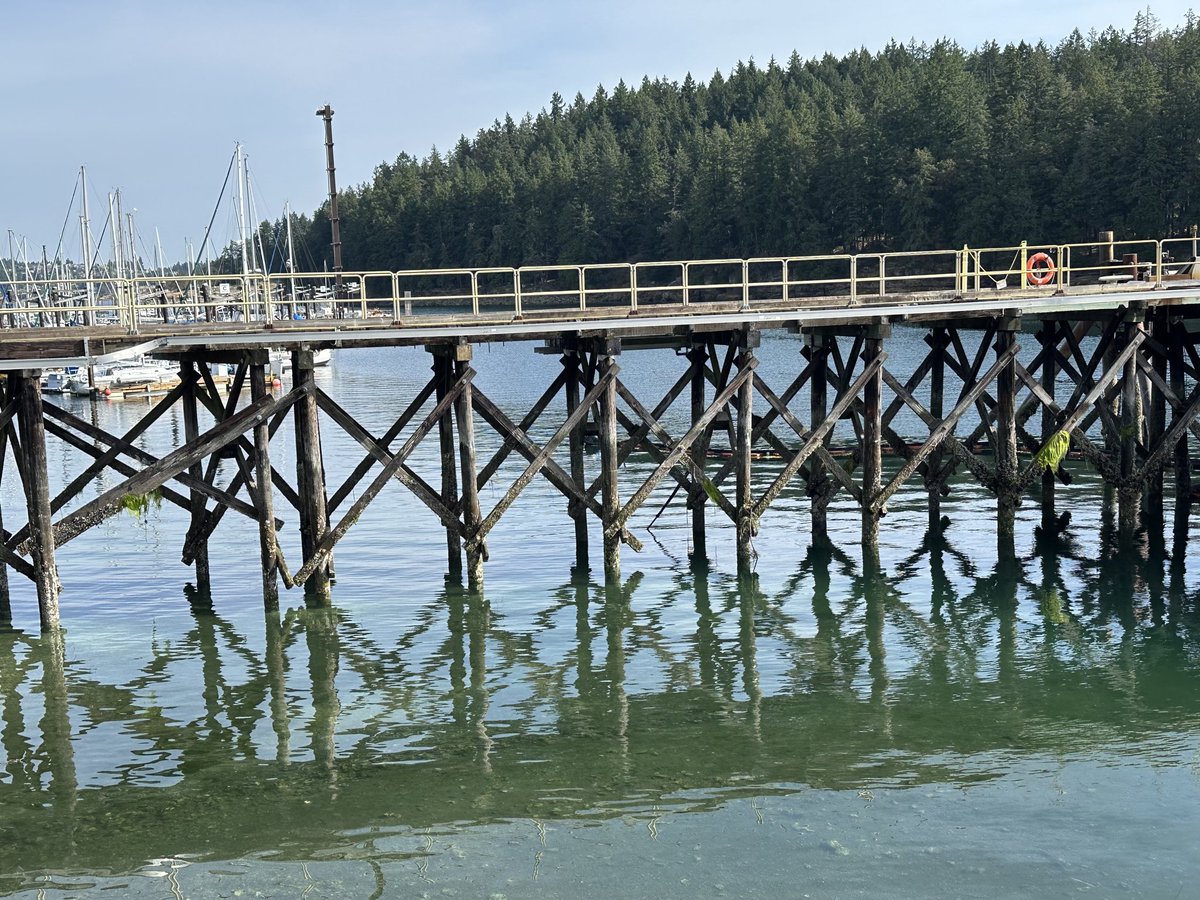 ARTnCOMMODITY's tweet photo. Saysutshun (New Castle Island, BC) https://t.co/FhN6hZqI1X