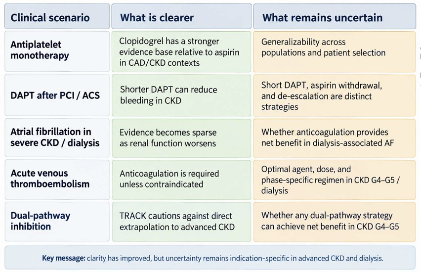 gunnar_heine's tweet photo. Antithrombotic therapy in CKD after the 2026 @escardio @ERAkidney guidelines: clarity versus certainty 
https://t.co/Bv0ADzJ5jt 
@accovic @DrAlexBurlacu
@NDTsocial @hjanders_hans https://t.co/CN7Kc8a6IK