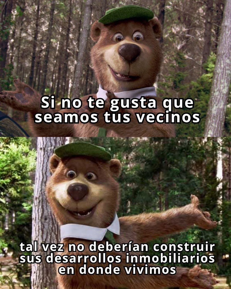 AnestesiaDra's tweet photo. Para los tíos locos de Monterrey #monterrey #osos #OsosMexicanos https://t.co/P6NgJgwmyJ