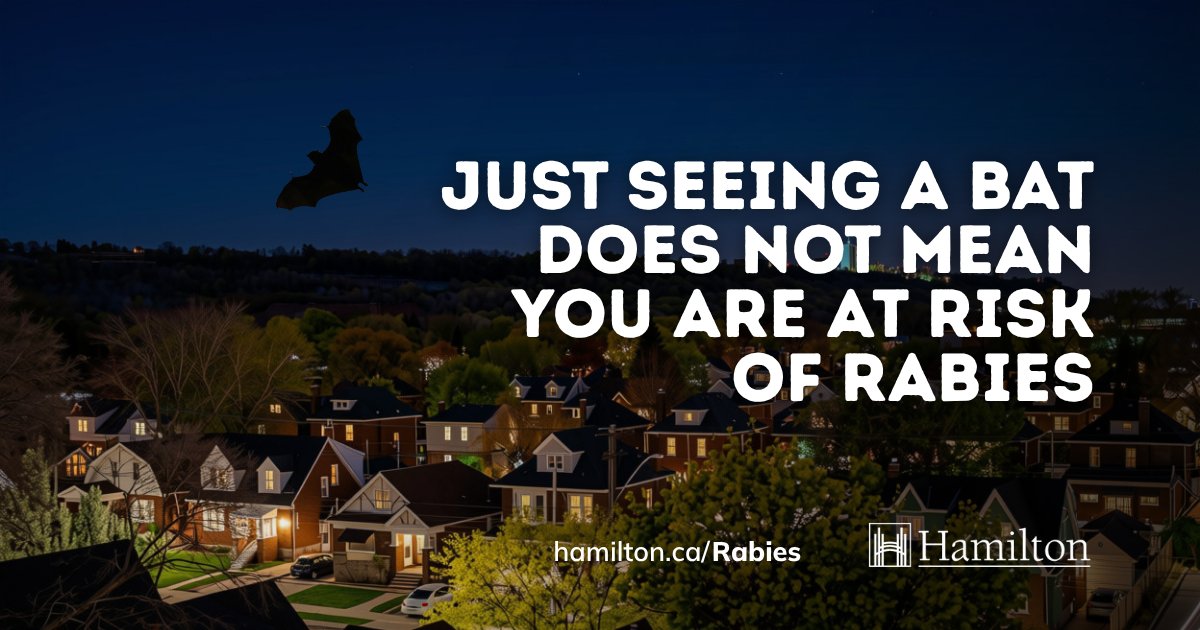 cityofhamilton's tweet photo. Rabies is only spread through saliva. Just being close to an animal is not an exposure.
Learn more at https://t.co/ZqmWycvux9 https://t.co/B5VqnL57sm