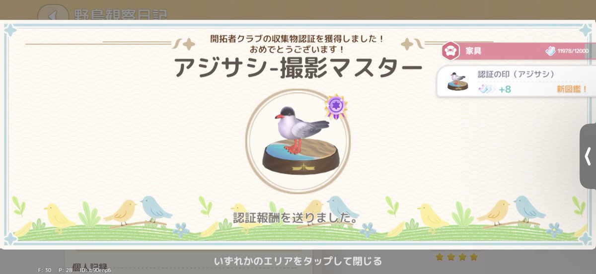 Liz_hatopi's tweet photo. 日曜の虹で野鳥観察最後に残してたアジサシ撮り終えました！
無事に野鳥コンプ出来てうれしい🕊️
大変だったけど楽しかった📷✨

 #ハートピア https://t.co/vbI5zg2c0L