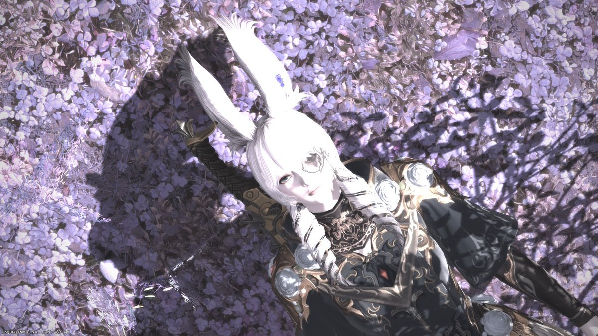 FF14_74's tweet photo. 紅蓮完走しました、
めっちゃ長かったけど
最後の最後までおもしろかった😌

さぁてお次は漆黒編
はじまりはじまり〜
#FF14初心者 https://t.co/vhsbXAn92w