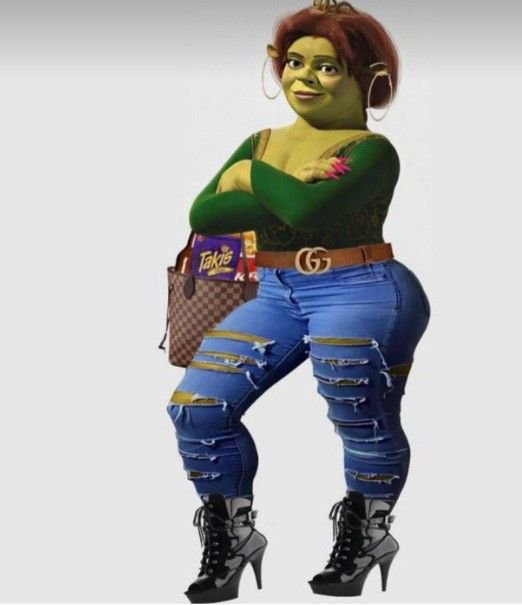 Max_elpotaxie22's tweet photo. Ya no veo normal a este png de Fiona gracias a la Fiona buchona https://t.co/cGw00s7Onu