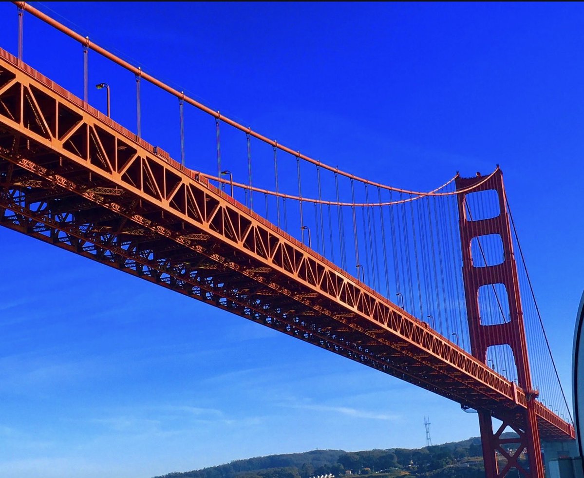 ArtsySF's tweet photo. sailing under
our famous
Golden Gate Bridge
#haiku
#GoldenGateBridge
#SanFrancisco
#MyPhoto
#copyrightArtsySF https://t.co/PE93BN9P9h