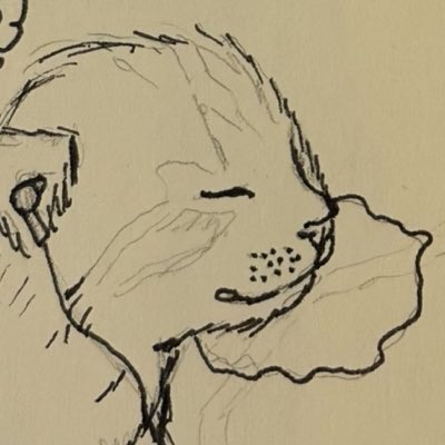 CoolestSaudi's tweet photo. #NewProfilePic https://t.co/dfzK3y5xBJ