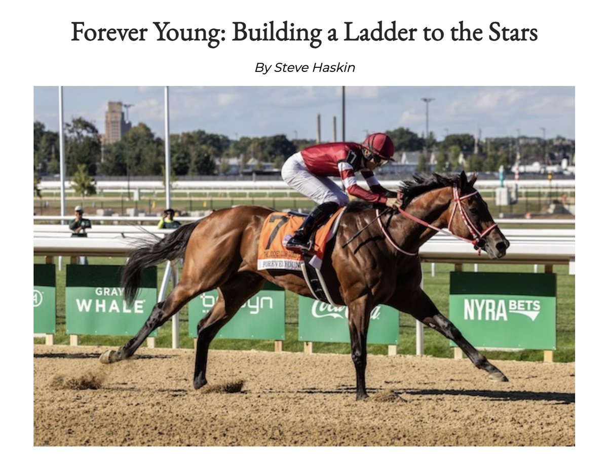Secretariatprmr's tweet photo. Steve Haskin writes about Jockey Club Gold Cup winner #ForeverYoung, who, amidst frequent international travels, has won 12 of his 16 starts and never finished out of the money: https://t.co/x5sxBtYtqb

#HorseRacing #BelmontPark #AskinHaskin https://t.co/h69tUBx8U7