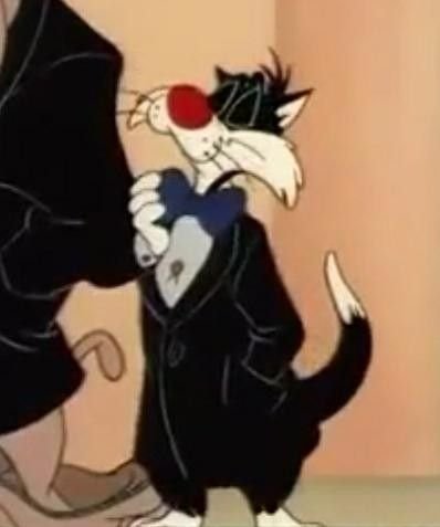Florchu707's tweet photo. ⓘ this user loves Sylvester James Pussycat, Sr https://t.co/UsB3xah35U
