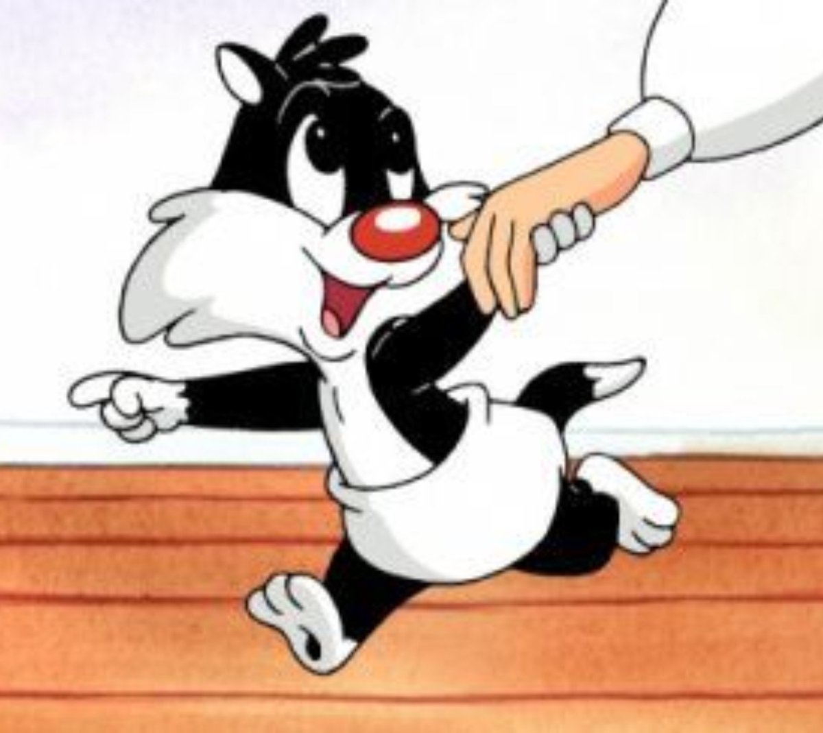 Florchu707's tweet photo. ⓘ this user loves Sylvester James Pussycat, Sr https://t.co/UsB3xah35U