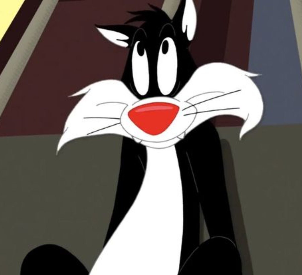Florchu707's tweet photo. ⓘ this user loves Sylvester James Pussycat, Sr https://t.co/UsB3xah35U
