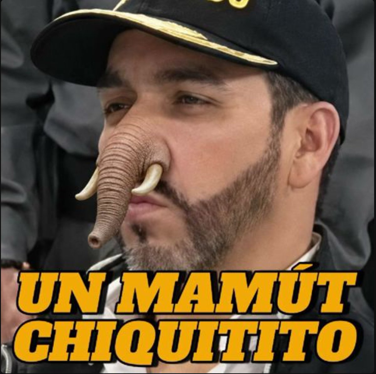 valvan65's tweet photo. @infopresidencia JAJAJAJAAJ   TENES MAS DE UELE UELE QEU DE CEREBRO AJAJAJAJAJ https://t.co/Bx8gCnbitY