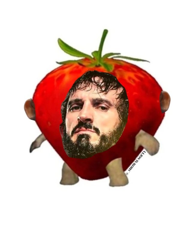 _shownusofty's tweet photo. i loved making the little memes of him, he was too cute TT https://t.co/0mtcP937EB