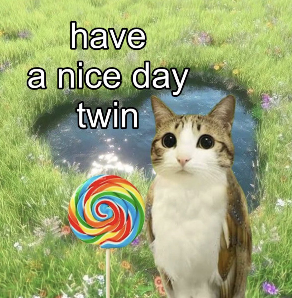 meowlreal1's tweet photo. have a nice day twin https://t.co/fLKEy6G9jd