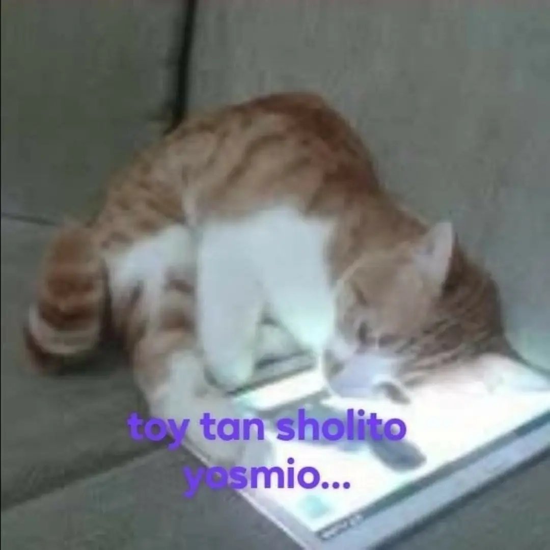 Mapaxitouwu's tweet photo. Soy ese https://t.co/VtACjbVhrV