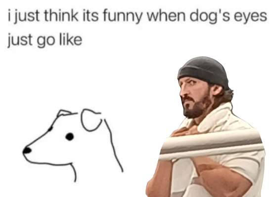 _shownusofty's tweet photo. i loved making the little memes of him, he was too cute TT https://t.co/0mtcP937EB