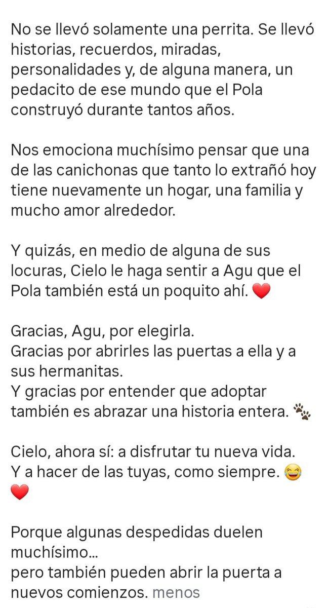 LunaDelCielo10's tweet photo. ATENCIÓN 
CIELO DE REFUGIO EL MONTECITO DE LOS @canichones fue adoptada junto a otros hermanitos por @aaguvolpato  🫶🐶🥹❤️👏👏👏 mucha emoción siento por esta noticia GRACIAS AGUS! Gracias por tanto! 
Por el POLACO 
Por su legado 
Por los canichones https://t.co/mSiS5frVmr
