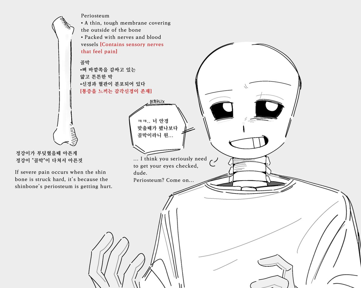 mossbloom_'s tweet photo. #sans
전공 공부 하다가 전에배운 골막(뼈막)이 생각나서 그려봤습니닷 https://t.co/fxcKd3xEmV