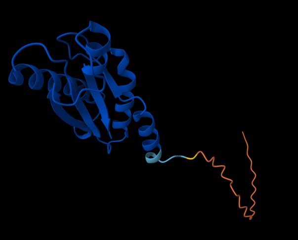 Adene_danny's tweet photo. Used AlphaFold to obtain an image of the target Pal outer membrane protein and Pymol to map my 6 peptides on it. 
Noticed some overlapping in Pymol while mapping peptides out, though that's to be expected since it's the same sequence of amino acids all peptides were derived from https://t.co/LDJDdaYTwi