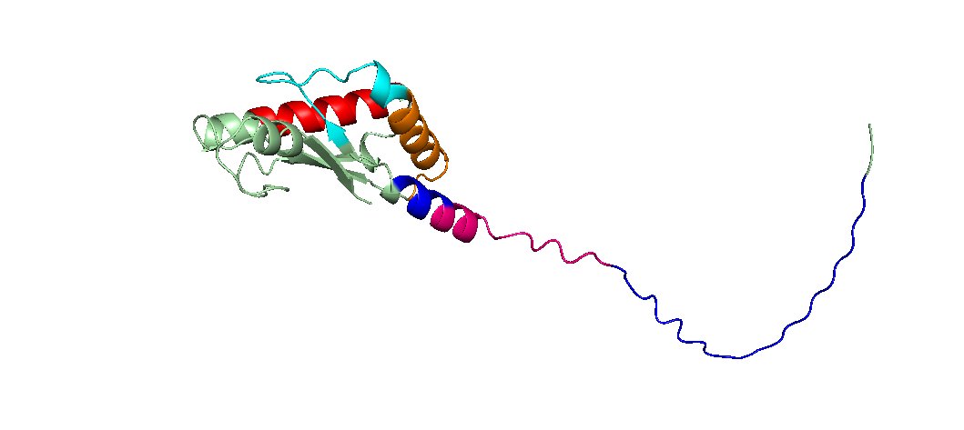 Adene_danny's tweet photo. Used AlphaFold to obtain an image of the target Pal outer membrane protein and Pymol to map my 6 peptides on it. 
Noticed some overlapping in Pymol while mapping peptides out, though that's to be expected since it's the same sequence of amino acids all peptides were derived from https://t.co/LDJDdaYTwi