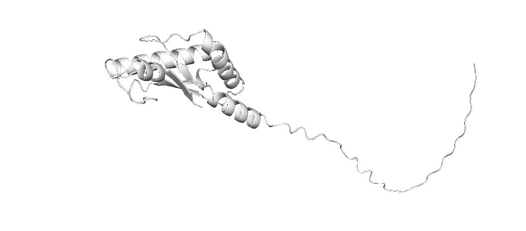 Adene_danny's tweet photo. Used AlphaFold to obtain an image of the target Pal outer membrane protein and Pymol to map my 6 peptides on it. 
Noticed some overlapping in Pymol while mapping peptides out, though that's to be expected since it's the same sequence of amino acids all peptides were derived from https://t.co/LDJDdaYTwi