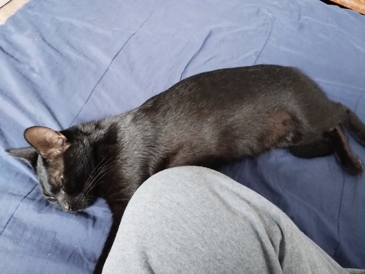 ninfamotel's tweet photo. asi duerme un hijo de puta sin saber lo que es la f1 alpine mclaren ni la facultad o parciales https://t.co/S5bUsLgDh6