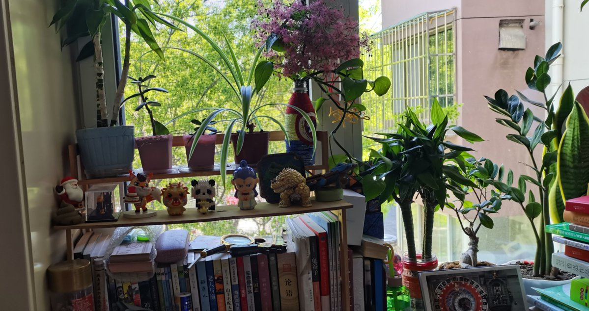 StantonTucgps3's tweet photo. Sorting out old stuff this weekend Keep what sparks joy, give the rest a new home. Less clutter, more calm! https://t.co/jNm6G5gZF0