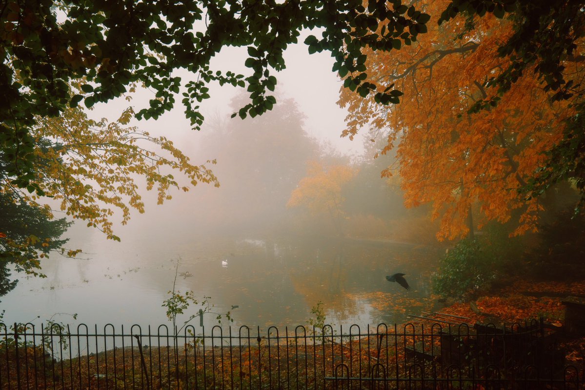 DanielCasson1's tweet photo. Autumn in the park // https://t.co/kvuzMtDFPa