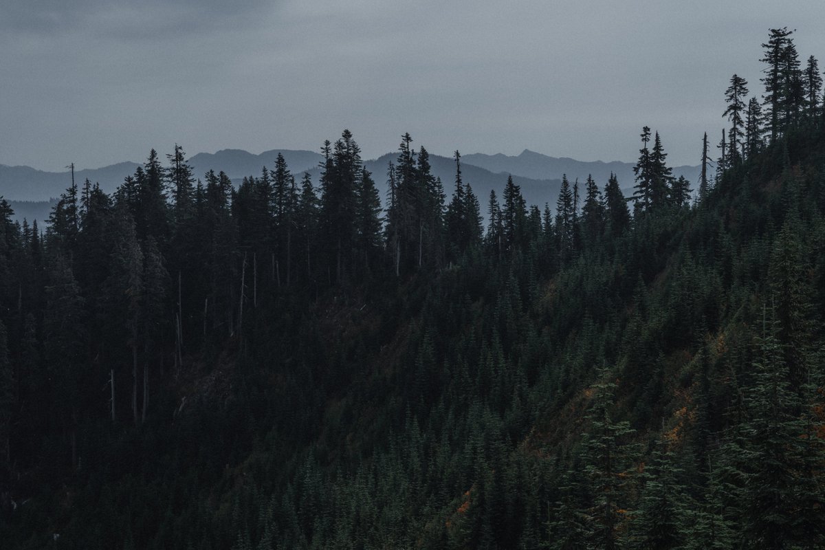 blodgrevinnen's tweet photo. morning haze in the cascades https://t.co/QiJv59VWNu