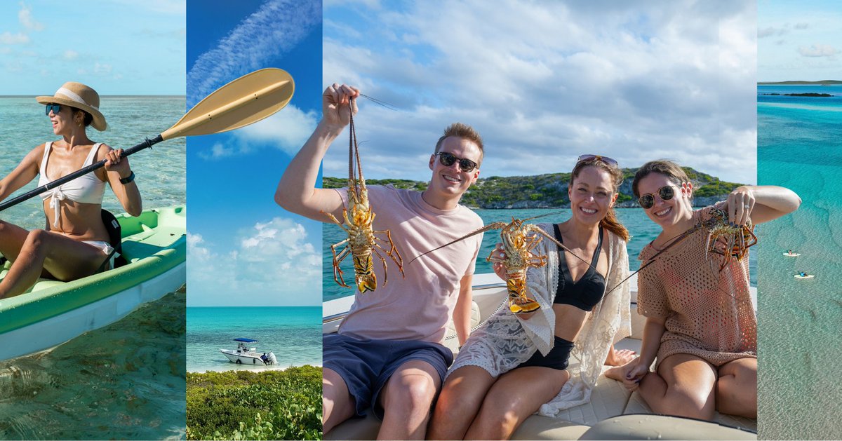 Sailrockresort's tweet photo. Trade Winter Chills for Island Magic ✨

Looking for a luxury #TurksAndCaicos resort to celebrate Christmas and ring in the New Year?

Embrace an exclusive island twist on the holidays at #SailrockSouthCaicos.

📍 Explore our holiday availability: https://t.co/haCJTSOMBZ https://t.co/XD6HGnVn1e