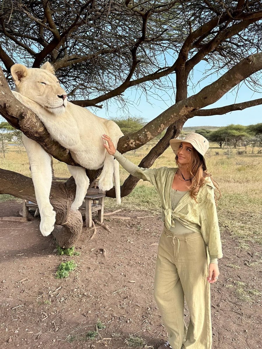 JustCasper_2's tweet photo. Can you take a picture with a Lioness? https://t.co/udhyFhfQlr