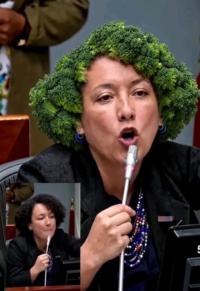 arlanmorales's tweet photo. @ISAZULETA SÍ, ABELARDO es ilegítimo, entonces usted es CABEZA DE BROCOLI! https://t.co/KYeeQssbwr
