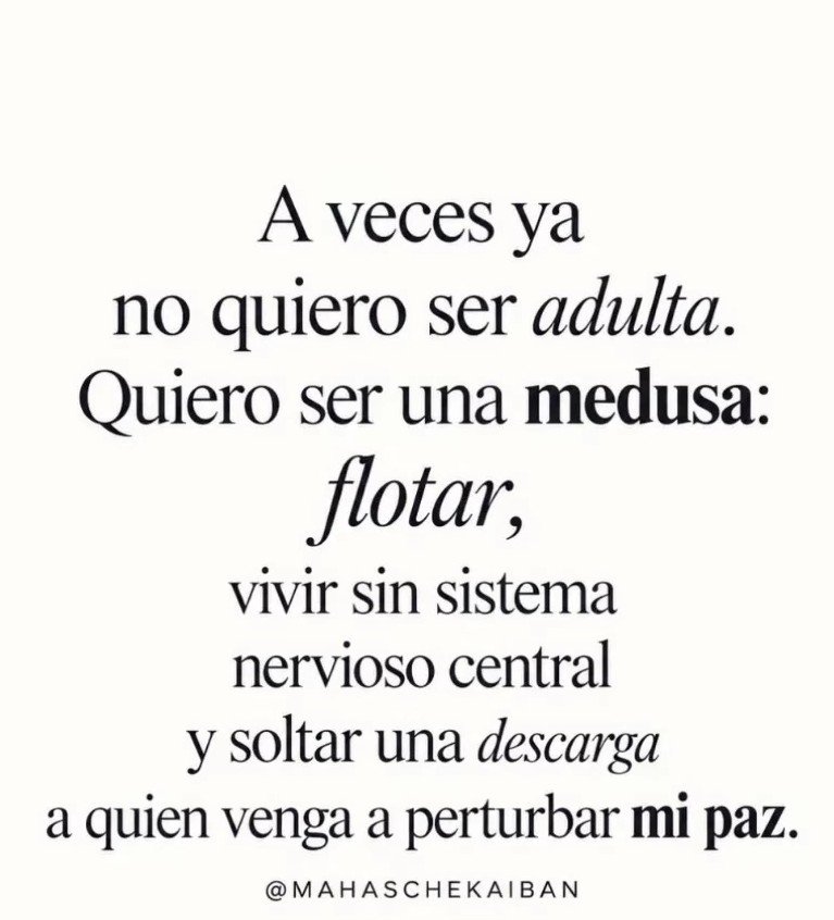 berxagui's tweet photo. Bona nit! Buena nuei! Gabon! 
Bones nueches! 
Boa noite! Buenas noches! 💫 https://t.co/QKQjJZ5Vjx