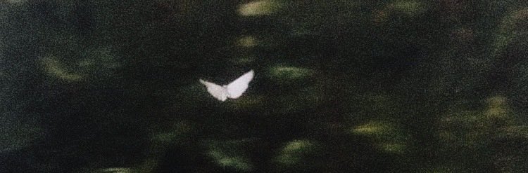 nv3us's tweet photo. سُئِلَ رَسولُ اللهِ صلَّى اللهُ عليه وسلَّم: أَيُّ العَمَلِ أَحَبُّ إِلَى اللهِ؟ قالَ: أَدْوَمُهُ وَإِنْ قَلَّ. https://t.co/YmuAOqMkQL