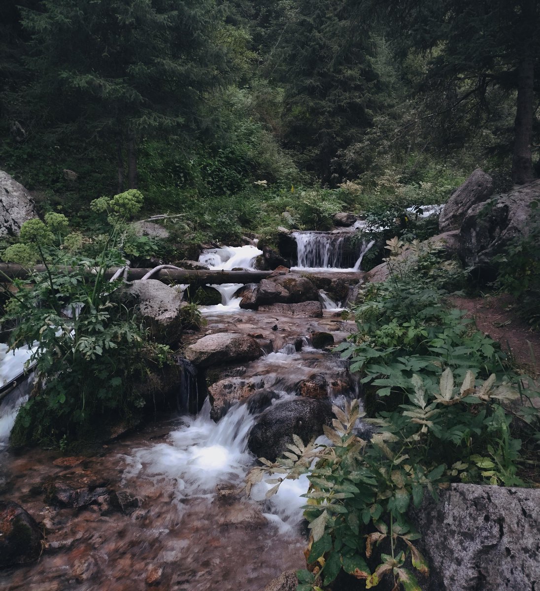 ttoki_11's tweet photo. https://t.co/ta6optExAz