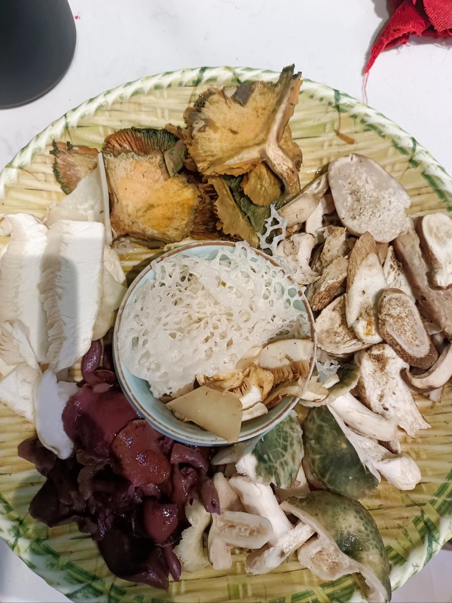 Reinaku4gs's tweet photo. Nuevos championes silvestres frescos, sabores intensos y textura tierna, perfectos para salteados o ensaladas. Descubre su calidad!， https://t.co/IwJwcnz461