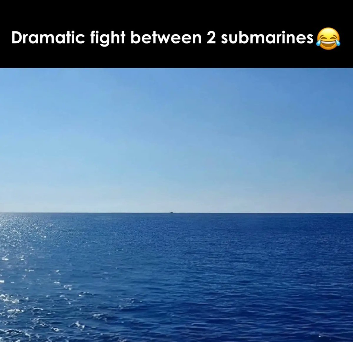 MargitEarvw2v's tweet photo. So dramatic. https://t.co/X690VwiKwW