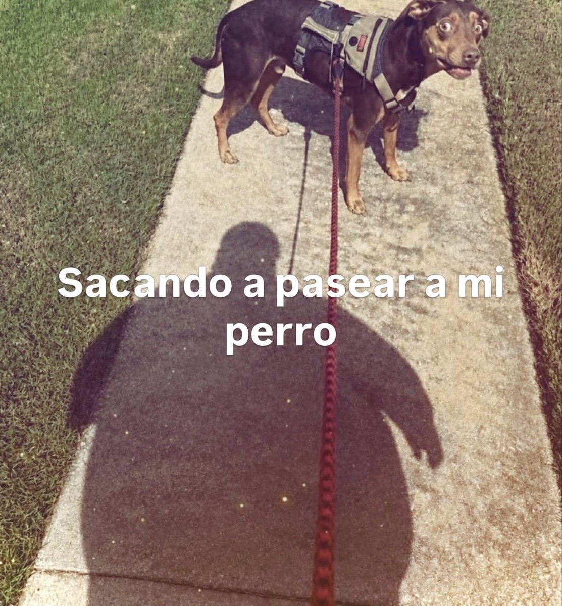 bautizita's tweet photo. https://t.co/TgRWJCgB7p