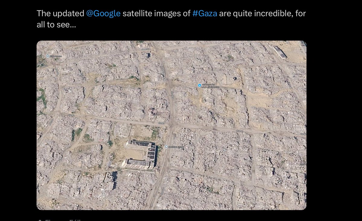 13madson13's tweet photo. @ZooNealand Meanwhile… Gaza… 🤡
#IfindRetards
https://t.co/VFxlDM7uvh https://t.co/aGh1lEKeHV