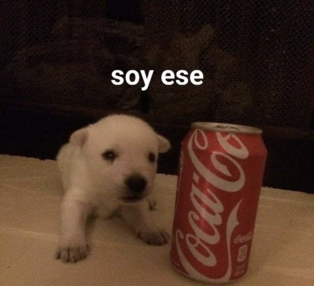skereunpesado's tweet photo. https://t.co/WLJTnT8EGK