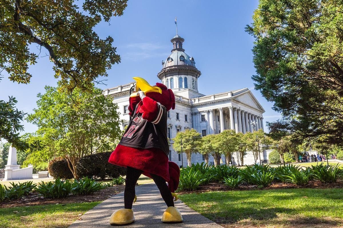 uofscimpact's tweet photo. Latest @UofSC news in State House Briefing
🏛Recognizing legis support in president's address
🎓Welcoming students from all 46 SC counties
🗣Topping SC college free-speech rankings
1️⃣Retaining top US News rankings
💻Helping SC Senate examine AI’s impact
🔗https://t.co/skHKsdmIEn https://t.co/BHfg5BzAjy