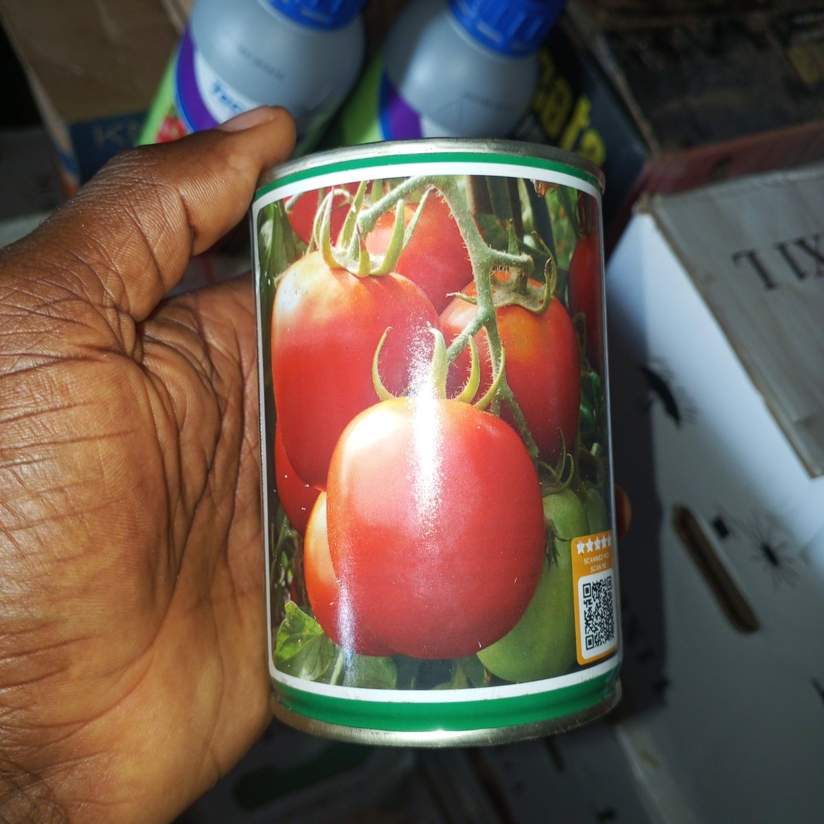 FirstKingEntert's tweet photo. Someone i know wanted to "Patronize" me last weekend , he is a Newbie farmer! So he asked about the price i sell the products he wanted, i gave him my best fair price because of our relationship. He said he will make payments today being Monday so that i can send it to him. https://t.co/wVlid91MHT