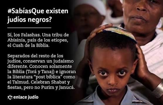 Sandoka74354090's tweet photo. Pretenden que creamos que, judaísmo (religión) Israel (estado en el que viven dos millones de árabes) y sionismo (movimiento político creado por el ateo Theodor Herzl, son lo mismo. Tbn, que Hamás (movimiento creado con ayuda Israelí) y Palestina, son lo mismo. Ni siquiera comparten bandera.