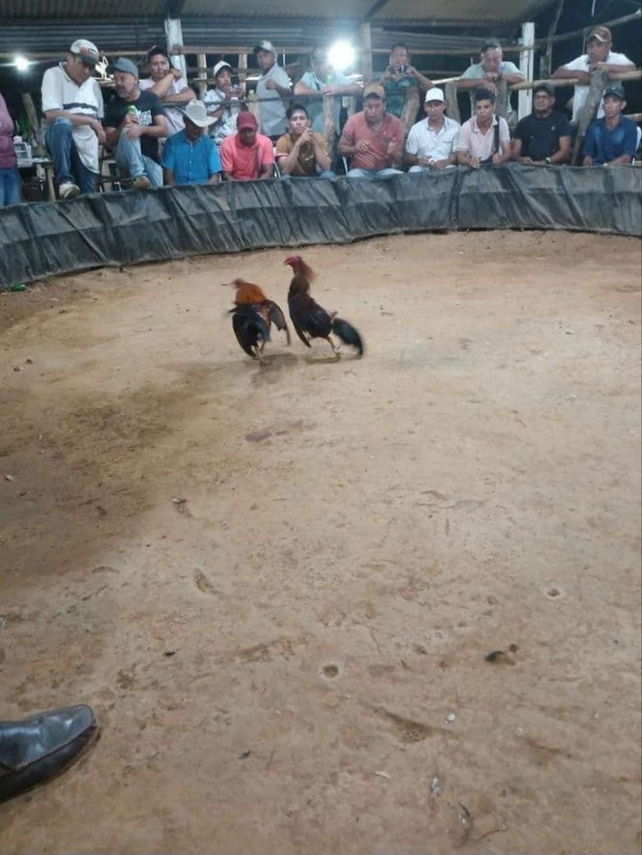 nonoinvestidor's tweet photo. Primeiro dia sem Bet. Seguimos!! https://t.co/ceJcjDtaYu