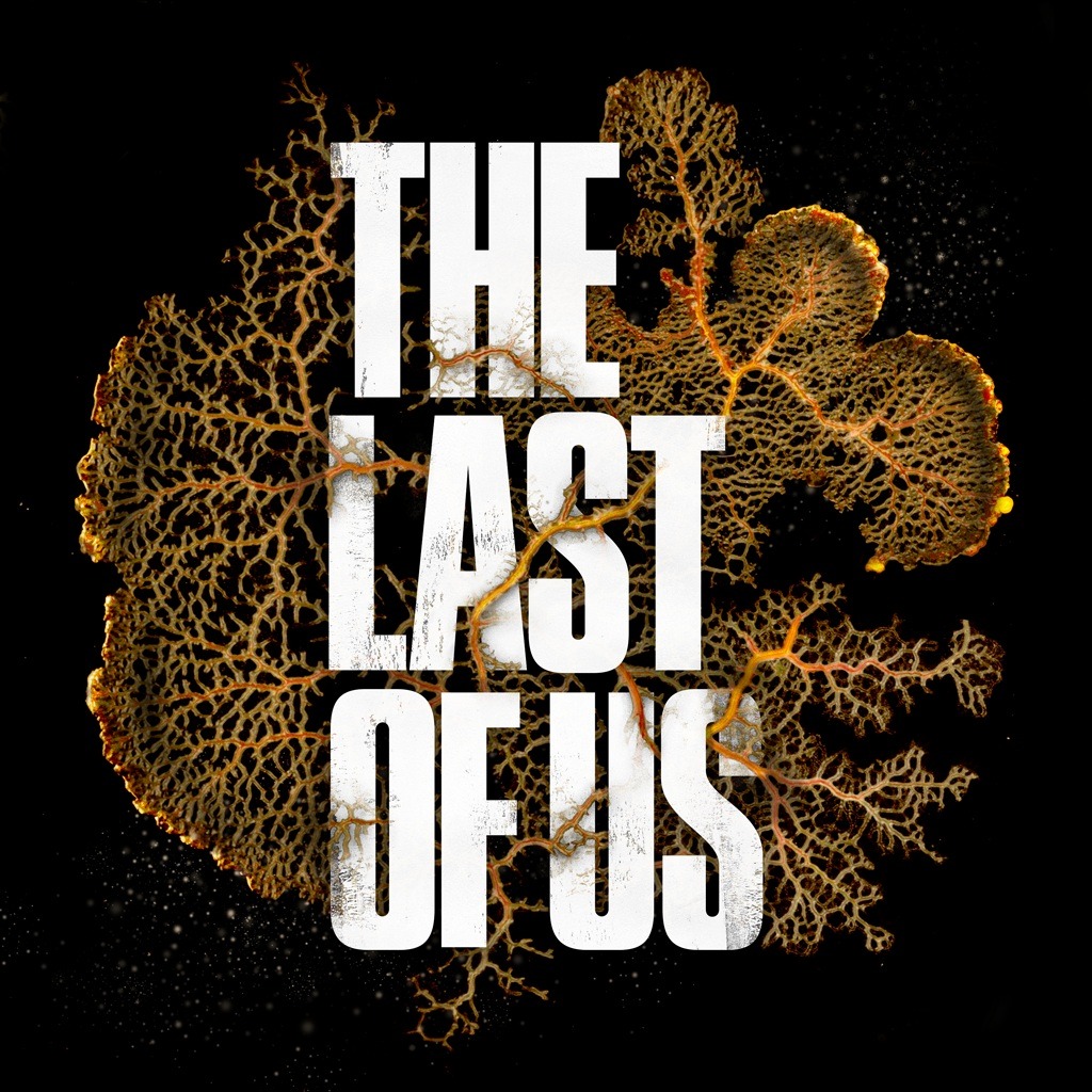 TheLastOfUsBR's tweet photo. Estão deixando a gente sonhar!

13 anos depois The Last of Us ativa contas oficiais dedicadas aos jogos PlayStation! https://t.co/DHQ7B8ffRP
