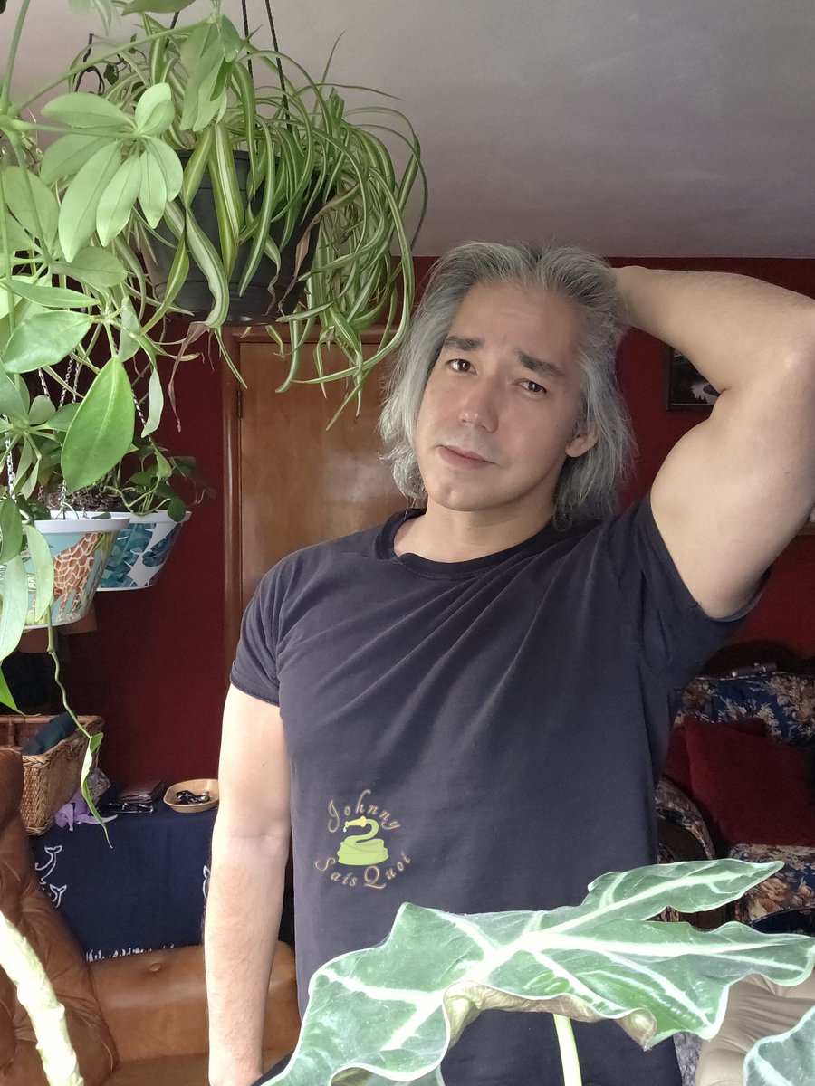 Johnny_SaisQuoi's tweet photo. I shaved, my apologies https://t.co/7bfQjyS9v5